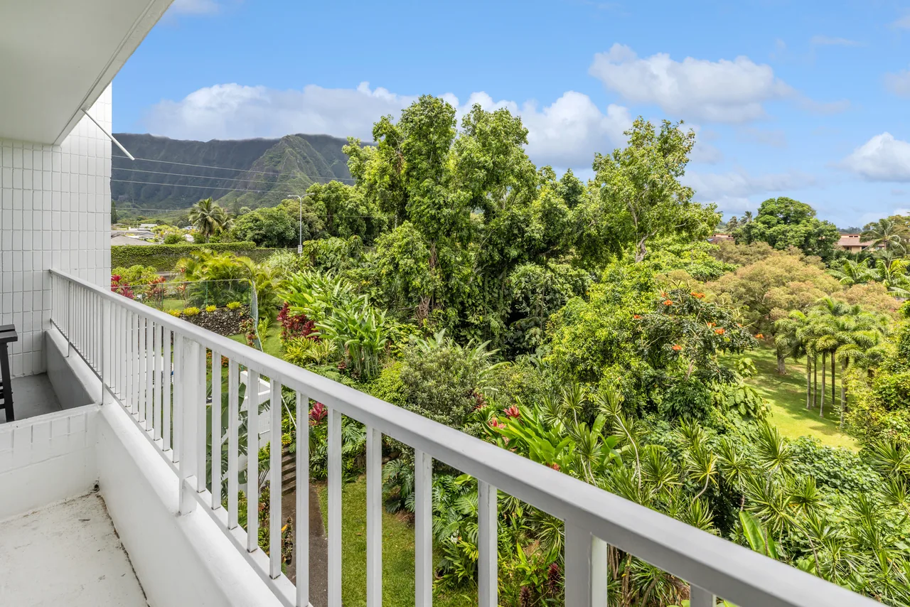 Lanai view across tropical foliage to the Koʻolau range